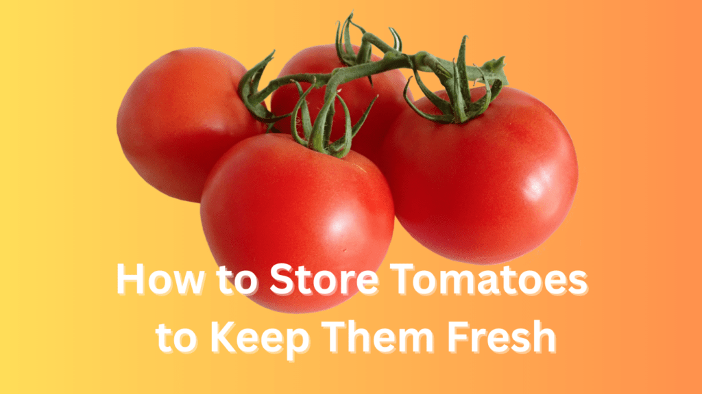 how to store tomatoes to keep them fresh
