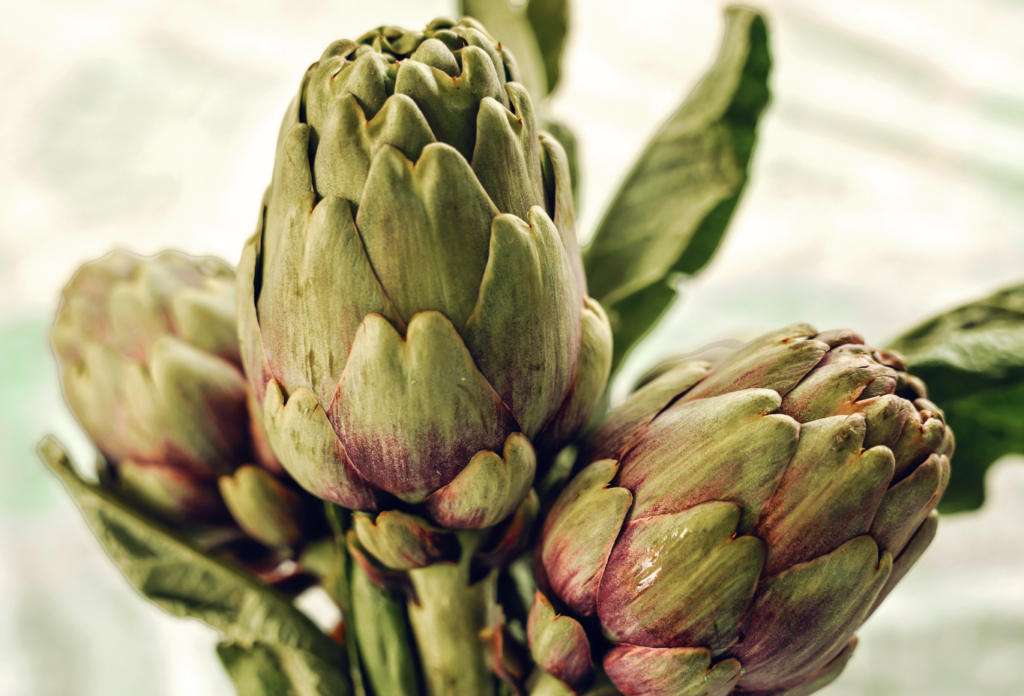how to store artichokes